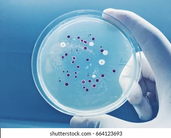 Procedures for biocide efficacy testing - Shapypro
