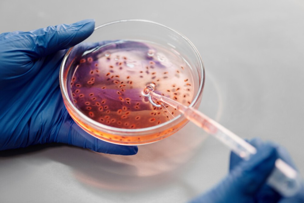 Preservative Efficacy Everything You Need to Know