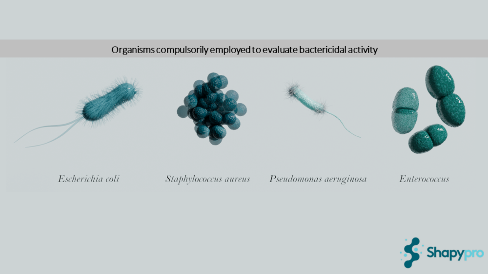 Mandatory Organisms for Bactericidal Activity Evaluation under EN 1276:2019