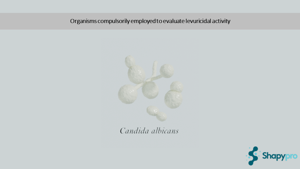 Mandatory Organisms for Yeasticidal Activity Evaluation under EN 1650:2019