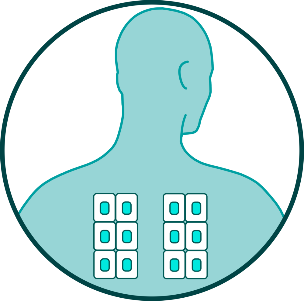 Patch Test HRIPT Testing and In Vivo Safety Studies