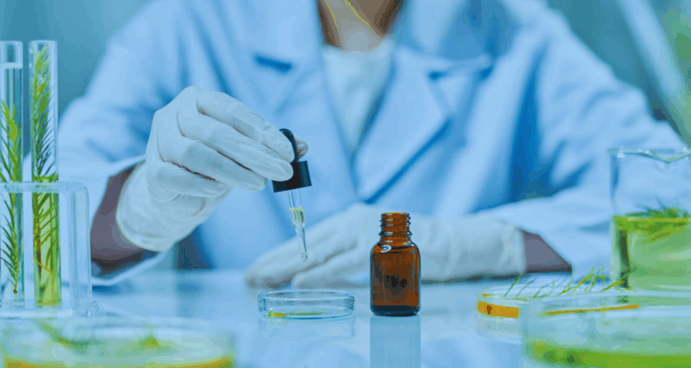 Cosmetic Safety Assessment Key Principles for Compliance with Regulation (EC) No. 12232009
