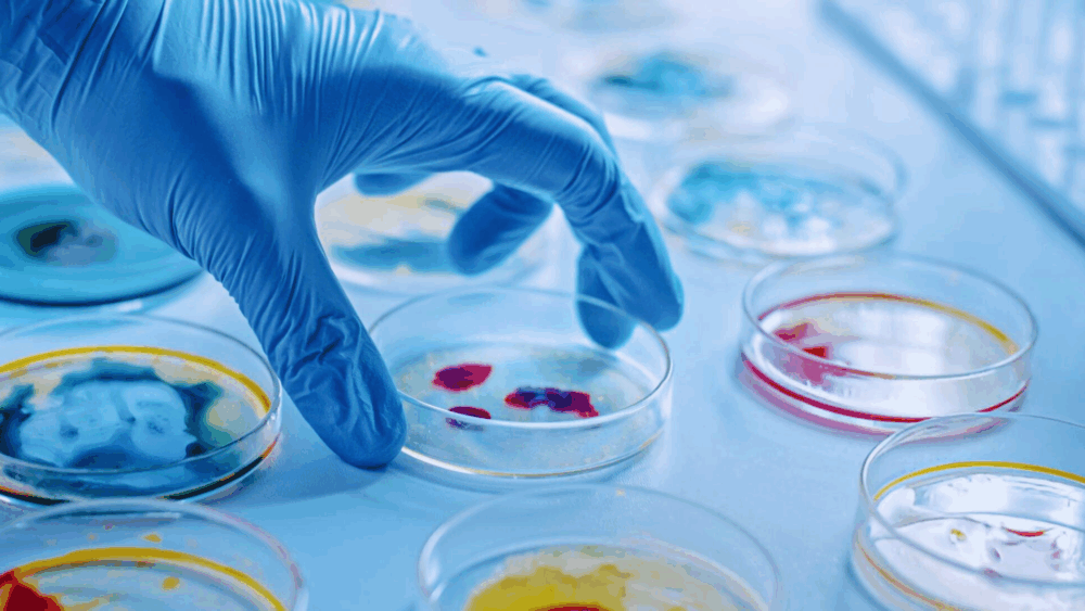 Challenge Test in Cosmetics: Preservative Efficacy and Regulatory Compliance
