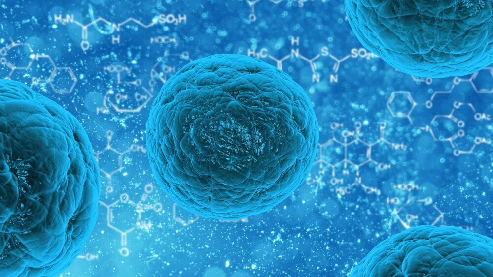 Control Microbiológico en Cosméticos: Normas ISO y Criterios Clave