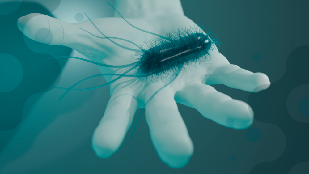EN 1499 and EN 1500: Hand Hygiene Testing with Dilute Soft Soap