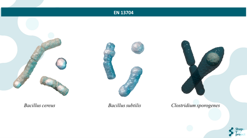 EN 13704: Evaluation Of The Sporocidal Activity Of Chemical Disinfectants Under Controlled Conditions