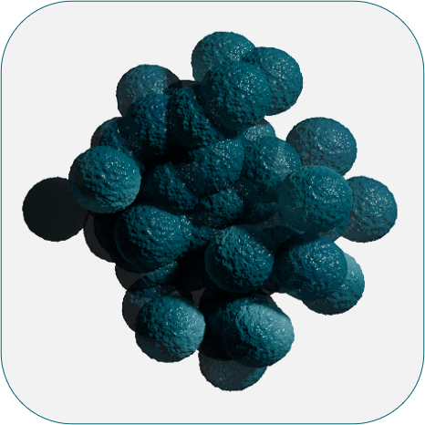 EN 16615 S. aureus