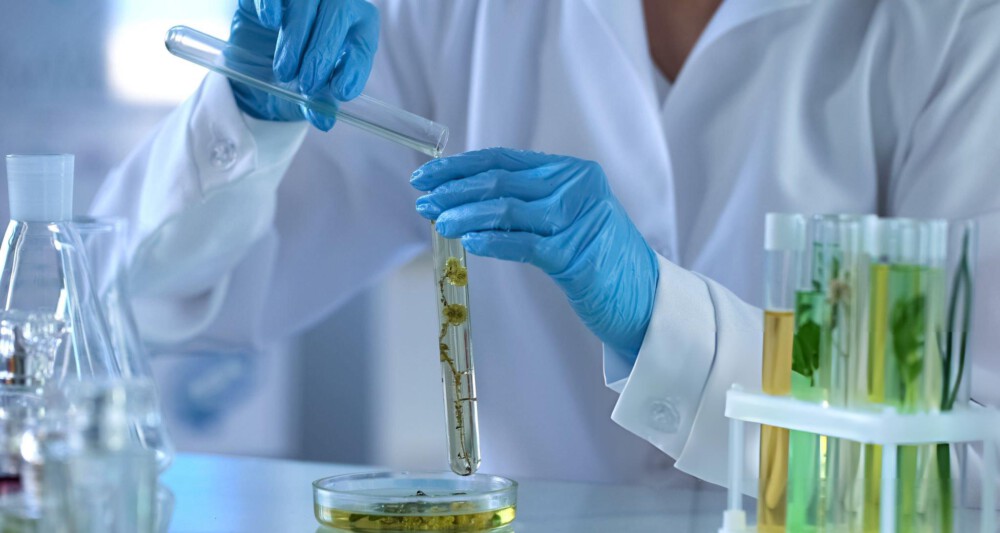 Regulatory Outlook 2025–2026 for Cosmetics