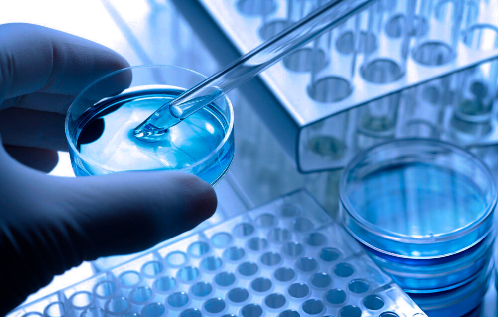 CPSR In Cosmetics: Requirements, Structure And Regulatory Framework In The European Union