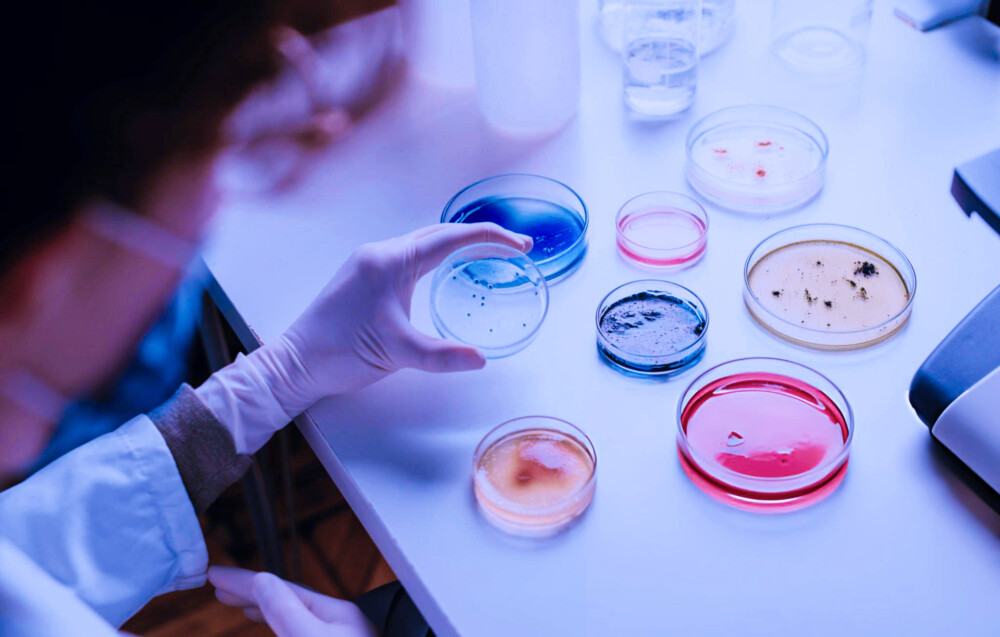 Proficiency testing: how to select, use and interpret PT schemes