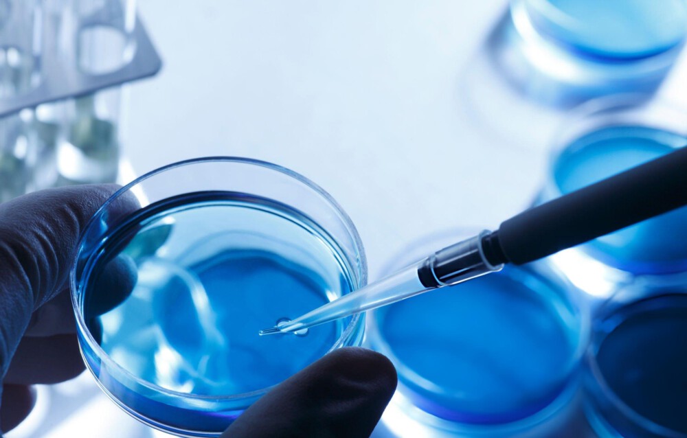 EN 13704: how the bacteriostatic effect can affect the test