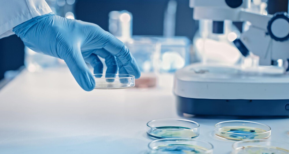 EN 13697: evaluating the efficacy of disinfectants on non-porous surfaces